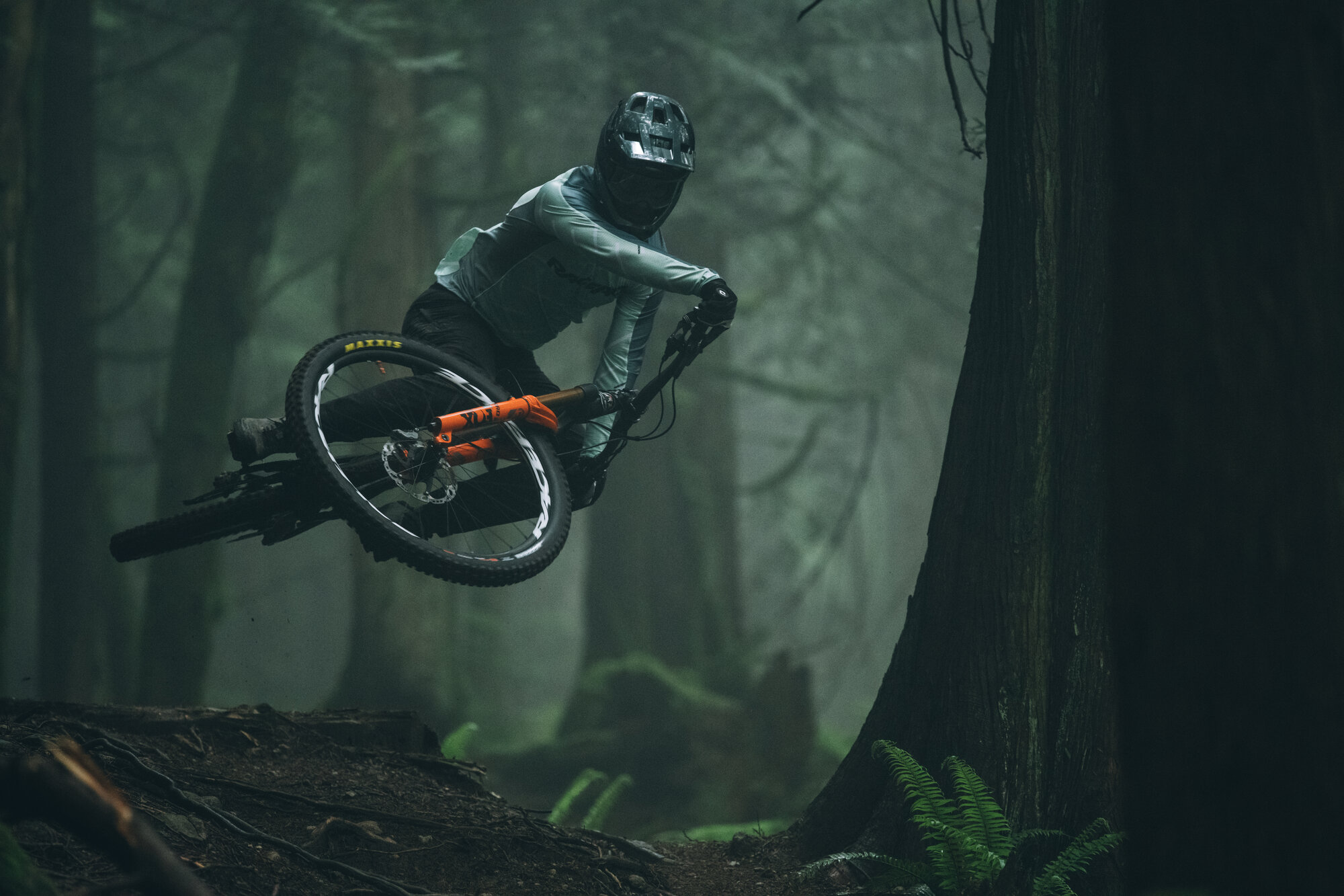Rocky mountain bikes 2021 best sale